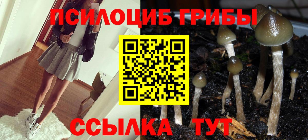 что такое наркотик  Вход с VPN  Тутаев  Псилоцибиновые грибы мицелий 